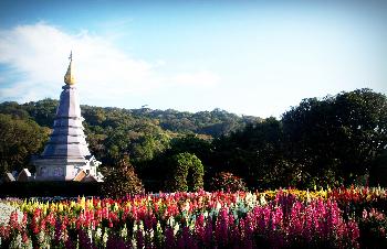 Zoom Fotoalbum Doi Inthanon - Bild 20