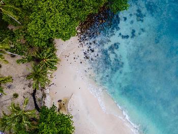 Freedom Beach Phuket - Bild 9 - mit freundlicher Genehmigung von Depositphotos