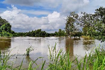 Hochwasser im Nordosten - Bilder von Gerhard Veer - Bild 4