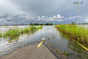 Hochwasser im Nordosten - Bilder von Gerhard Veer - Bild 9