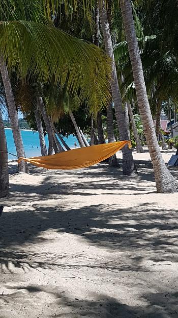 Idyllische Strnde auf Koh Samui - Bild 5