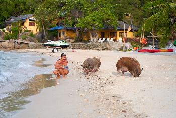 Inseln rund um Koh Samui - Bild 4 - mit freundlicher Genehmigung von Depositphotos 