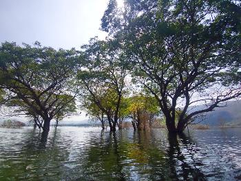 Kaeng Kor Lake - Bilder von Gerhard Veer - Bild 2 - mit freundlicher Genehmigung von Veer