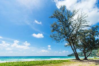 Karon Beach Phuket - Bild 3 - mit freundlicher Genehmigung von Depositphotos 