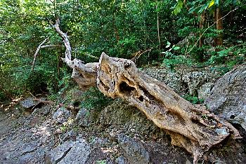 Khao Sam Roi Yot Nationalpark - Bilder von Gerhard Veer - Bild 4 - mit freundlicher Genehmigung von Veer 