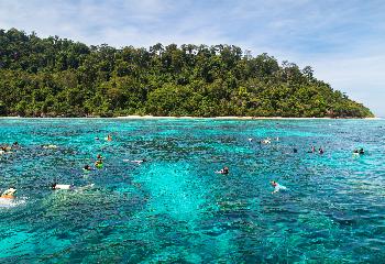 Koh Rok Yai & Koh Rok Noi - Bild 4 - mit freundlicher Genehmigung von Depositphotos 