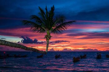 Koh Tao - Fun Paradise - Bild 3 - mit freundlicher Genehmigung von Depositphotos 