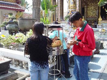 Korrekte Kleidung im Tempel - Bild 2