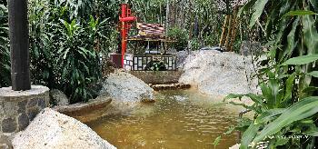 Kruter Pool - Bild 4 - mit freundlicher Genehmigung von Andreas Modos 