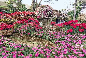 Mae Fah Luang Garden mit Fotos von von Gerhard Veer - Bild 2 - mit freundlicher Genehmigung von Veer 