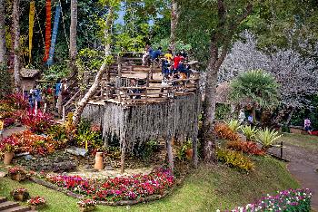 Mae Fah Luang Garden mit Fotos von von Gerhard Veer - Bild 7 - mit freundlicher Genehmigung von Veer 