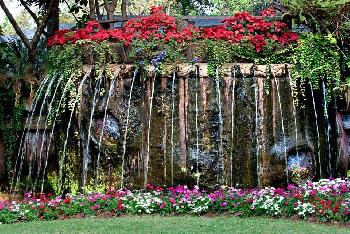 Mae Fah Luang Garden - von Gerhard Veer - Bild 2