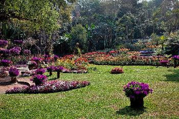 Mae Fah Luang Garden - von Gerhard Veer Bild 10 -  mit freundlicher Genehmigung von Thaisun 