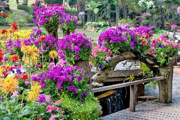 Mae Fah Luang Garden - von Gerhard Veer - Bild 11