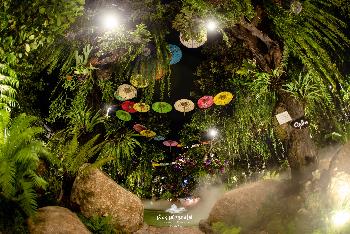 Märchenhafter Dschungelpark - Pictures by Lalitta Café - Bild 13