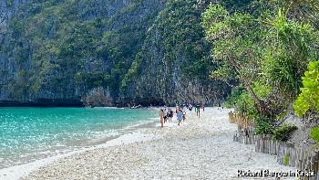 Maya Bay auf Koh Phiphi Lay - Bilder von Richard Barrow - Bild 4 - mit freundlicher Genehmigung von Richard Barrow 