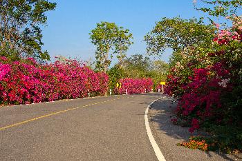 Mediterranes Flair - Bild 1 - mit freundlicher Genehmigung von Depositphotos 