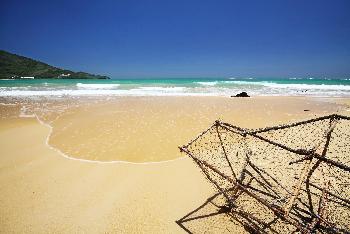 Naiyang Beach Phuket - Bild 1 - mit freundlicher Genehmigung von Depositphotos 