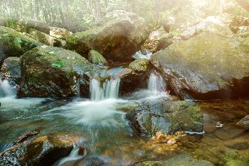 Nakhon Si Thammarats atemberaubende Natur - Bild 3