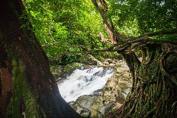 Natur pur im Kaeng Krachan - Bild 1 - mit freundlicher Genehmigung von Depositphotos 