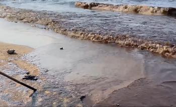 Ölpest hat Küste von Rayong erreicht - Bild 4