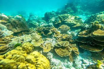 Paradise Raya Island - Bild 3 - mit freundlicher Genehmigung von Depositphotos 