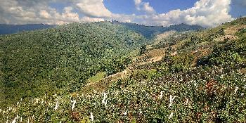 Phu Chi Fah to Chiang Kham von Gerhard Veer - Bild 15 - mit freundlicher Genehmigung von Veer 