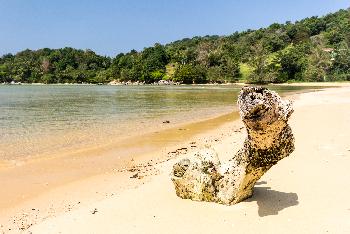 Bang Tao Beach - Phukets schönste Strände - Bild 2 - mit freundlicher Genehmigung von Depositphotos 