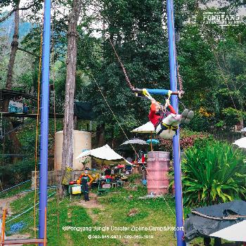 Pongyang Jungle Coaster - Bild 1