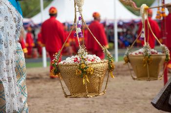 Royal Ploughing Ceremony Day - Bild 4