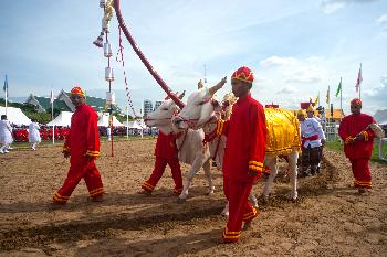 Royal Ploughing Ceremony Day - Bild 6