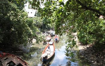 Sehenswerte Natur Koh Samui - Bild 9 - mit freundlicher Genehmigung von Depositphotos 