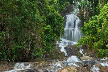 Sehenswerte Natur Koh Samui - Bild 3 - mit freundlicher Genehmigung von Depositphotos 