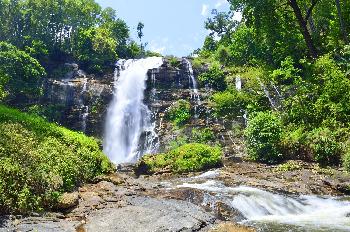 Sehenswerte Natur Koh Samui - Bild 8 - mit freundlicher Genehmigung von Depositphotos 
