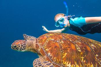 Similan-Islands - Bild 2