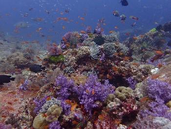 Similan-Islands - Bild 4