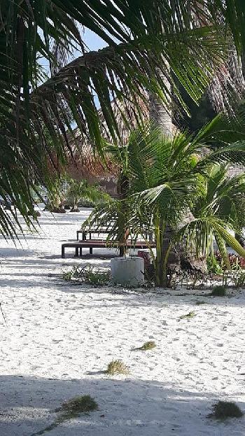 Strandleben auf Koh Lipe - Bild 10