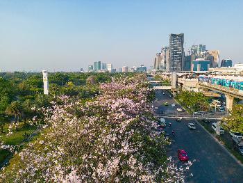 Suan Chatuchak - Bild 5 - mit freundlicher Genehmigung von Depositphotos