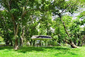 Suan Lum oder Lumphini Park - Bild 6 - mit freundlicher Genehmigung von Depositphotos 