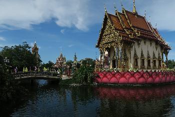 Tempel auf Koh Samui - Bild 6