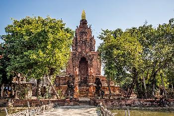 Terracotta Garden - Bilder von Gerhard Veer - Bild 2 - mit freundlicher Genehmigung von Veer