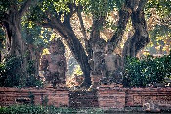 Terracotta Garden - Bilder von Gerhard Veer - Bild 3 - mit freundlicher Genehmigung von Veer