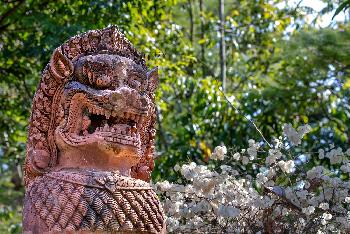 Terracotta Garden - Bilder von Gerhard Veer - Bild 8 - mit freundlicher Genehmigung von Veer