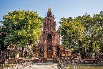 Terracotta Garden - Bilder von Gerhard Veer - Bild 10 - mit freundlicher Genehmigung von Veer