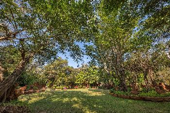 Terracotta Garden - Bilder von Gerhard Veer - Bild 14 - mit freundlicher Genehmigung von Veer