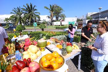 Thai Obst und Fr�chte Bild 4 -  - mit freundlicher Genehmigung von Depositphotos 