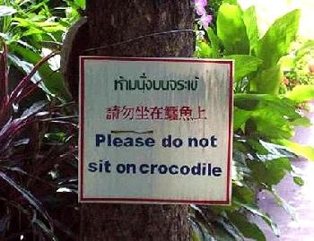 Thaiglish - Lost in Translation - Bild 8 - mit freundlicher Genehmigung von Depositphotos 