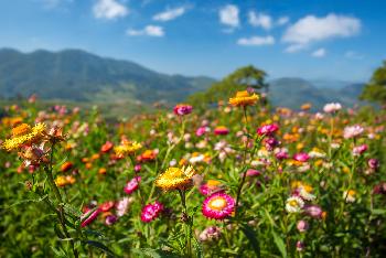 Thailands landschaftliche Schnheit - Bild 3