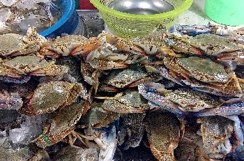 Thailands legendres Streetfood Bild 3 - 