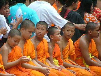 Zoom Traditionelle Feier und unvergessliche Wasserparty - Songkran - Bild 6